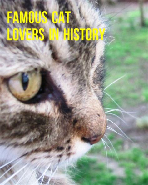 What are some of the top cat names? Famous Cat Lovers in History | Owlcation