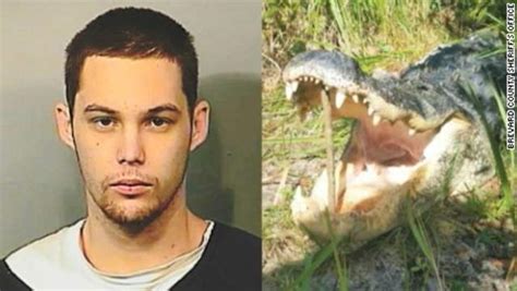 11 foot alligator eats suspected florida burglar who hid near a lake video