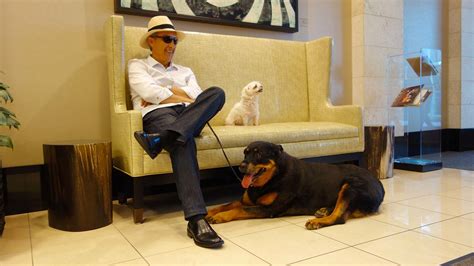 Dog Of The Day 120822 A Gentleman And His Two Dogs Waitin Flickr
