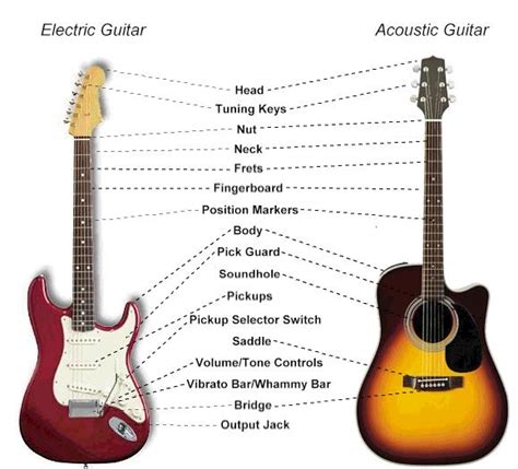 Guitar Anatomy Understanding The Different Parts Of The Guitar Artofit