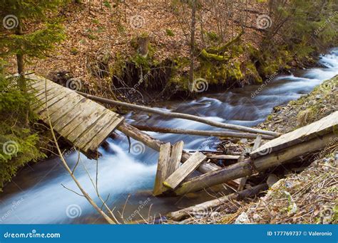 2124 Broken Wooden Bridge Nature Stock Photos Free And Royalty Free