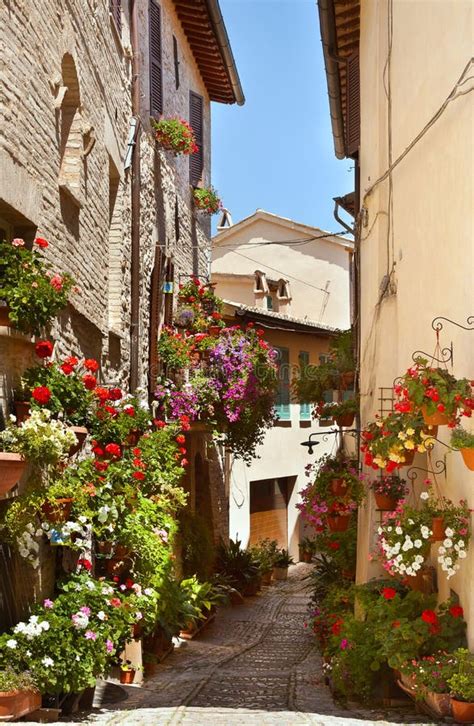 Beautiful Street In Spello Italy Stock Photo Image Of Plants Wall