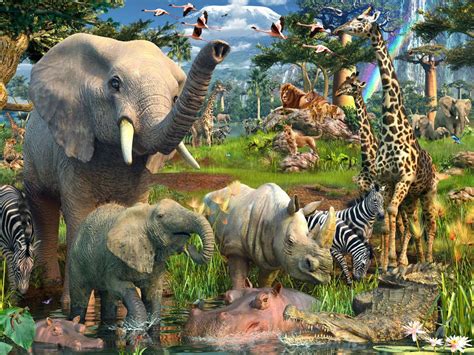Jungle Animals Wallpaper Wallpapersafari