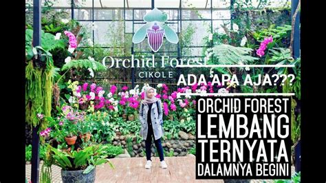 Bibit anggrek berasal dari berbagai negara, seperti venezuela, amerika serikat, hingga peru.ekowisata. Review Orchid Forest || TERNYATA DALAM NYA??? || VLOG by ...