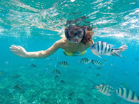 Best Places To Go Snorkeling In Turks And Caicos