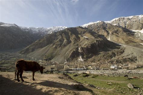 Pamir Mountains Imb