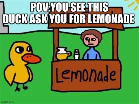 the duck walked up to the lemonade stan imgflip