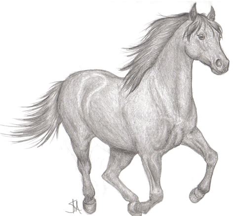 Horse Pencil Sketch At Explore Collection Of Horse