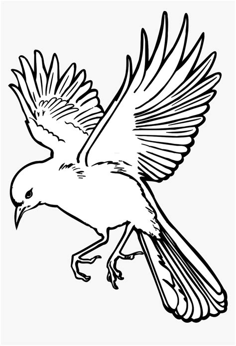 Flying Bird Line Drawing Images And Photos Finder