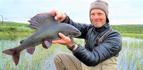 World Class Lake Graylings Grayling Land Fly Fishing Holidays