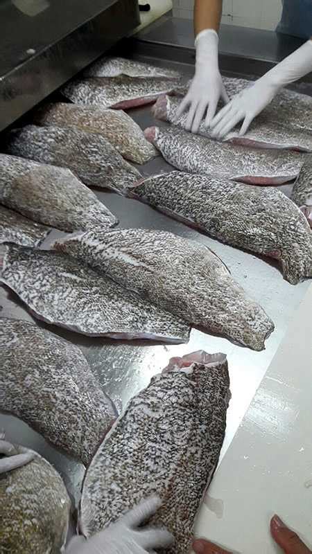 Grouper Fillet Pinetree Vietnam Co Ltd Seafood Exporter And Supplier