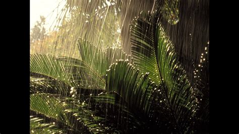 Las diferentes formas de precipitación incluyen llovizna, lluvia, nieve, granizo, agua nieve, y lluvia congelada. Lluvia torrencial en Tarapoto - San Martín, verdadera ...