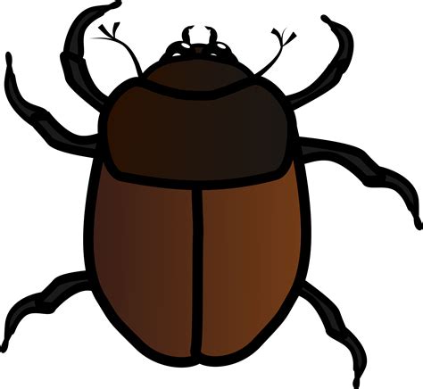 Fly Clipart Beetle Lalat Vektor Png Transparent Png F Vrogue Co