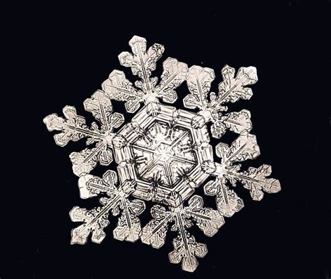 Picture Of The Week A Single Snowflake