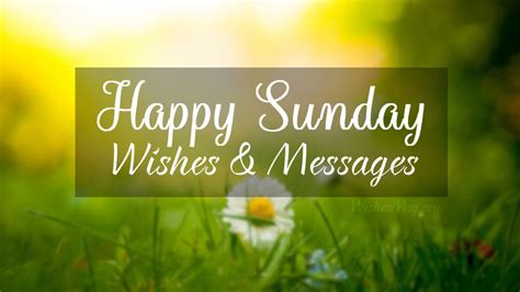 70 Happy Sunday Wishes, Messages and Quotes | WishesMsg