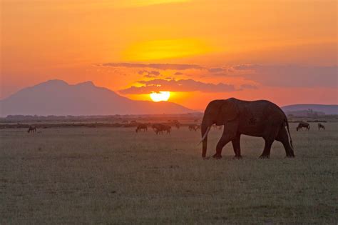 Tanzania Safari Adventure - Wilderness Inquiry