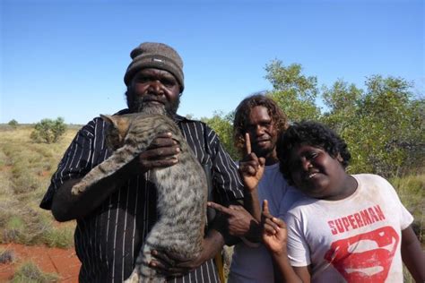 Could Aboriginal Cat Hunting Be The Key To Saving The Bilby Feral