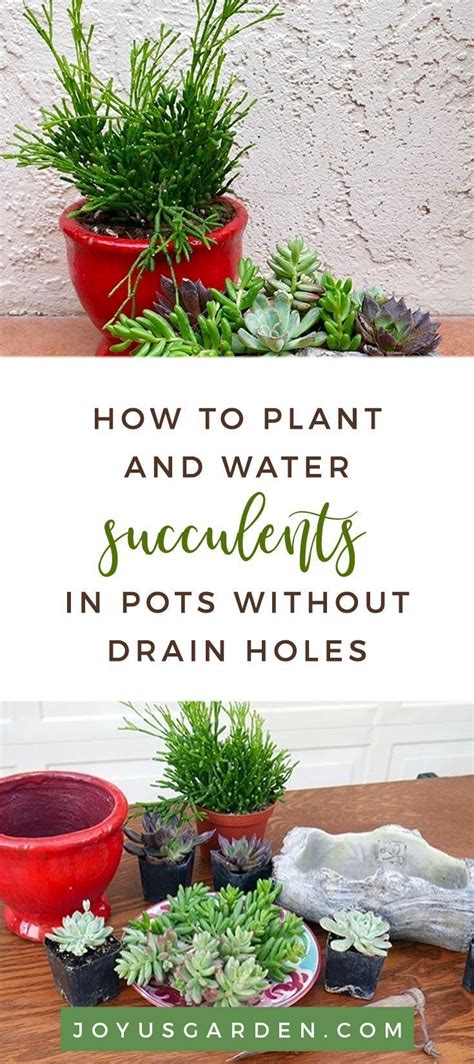 Succulents In Pots Without Drain Holes Good Or Bad Idea How To