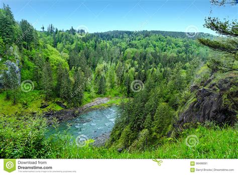 River In Pacific Northwest Stock Image Image Of Snoqualmie 98499091