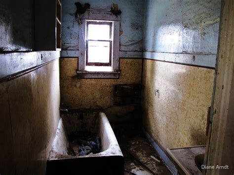 Lost Causeold Abandoned House Bathroom By Diane Arndt Redbubble
