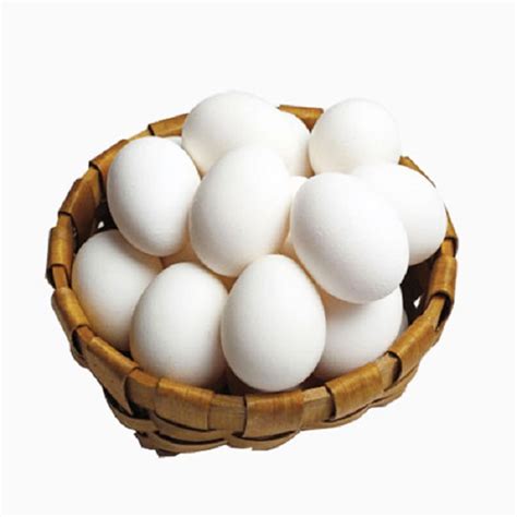 Poultry White Chicken Eggsindia Price Supplier 21food