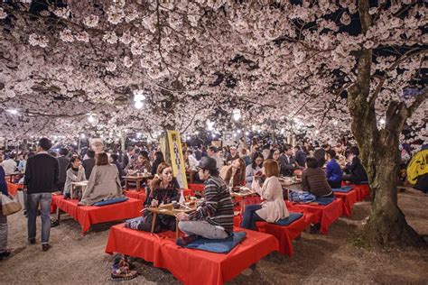 Japans Cherry Blossom Viewing Parties The History Of Chasing The