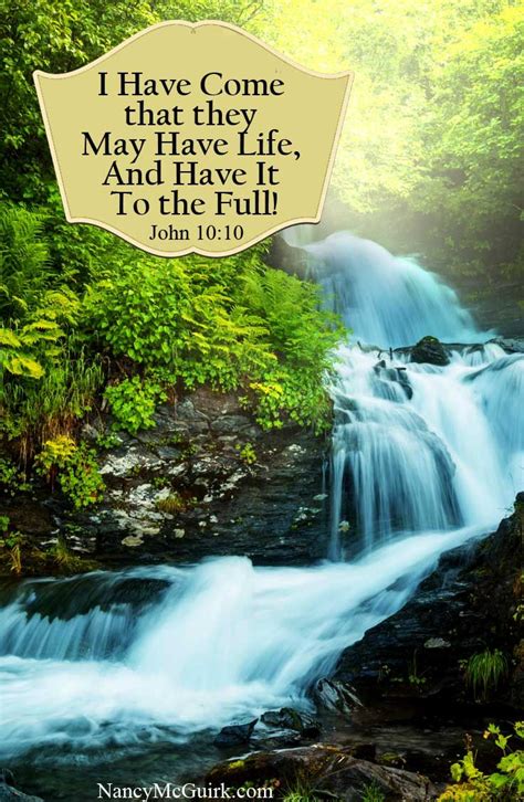 Bible Verse John 1010 I Have Come That They May Have Life And Have