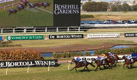 Winter Cup Day Tips And Bets Rosehill Races 1362020 Sports News