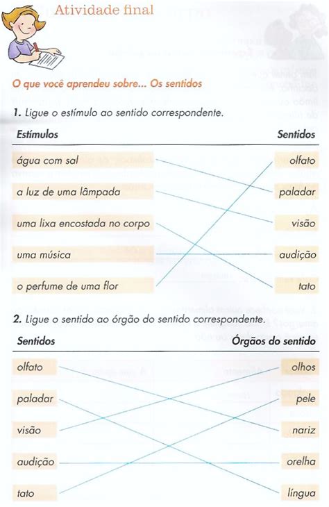 Centro De Atividades Escolares Josefa Krysiaki Os Sentidos E Atividades