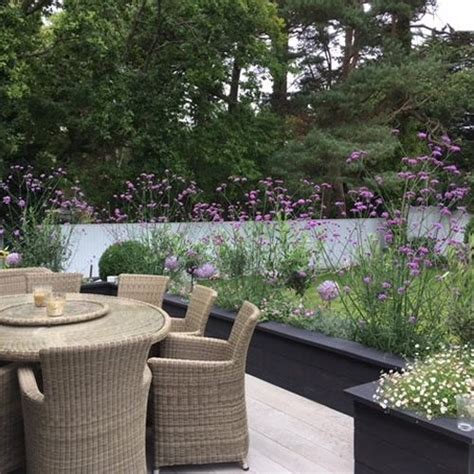 Garden plant ideas work when grown where they're happiest. Contemporary Gardens - Dorset & Bournemouth Garden Designers