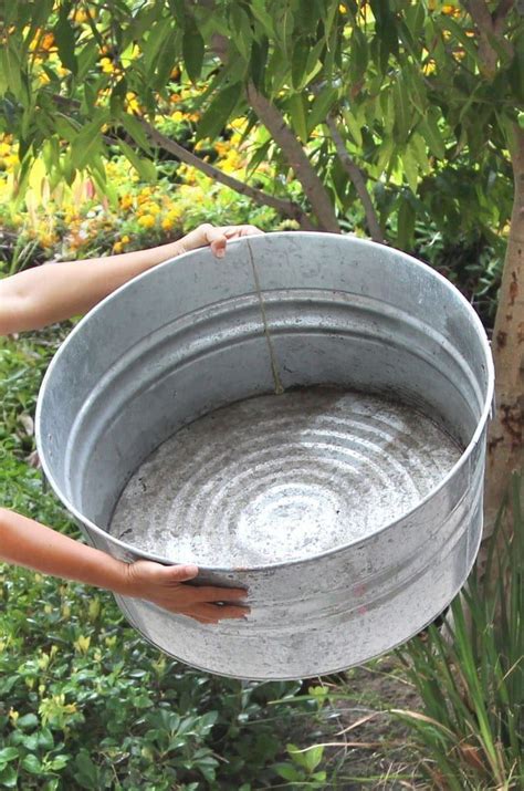 Easy Diy Solar Fountain In 1 Hour With Pond Water Plants 1000 In