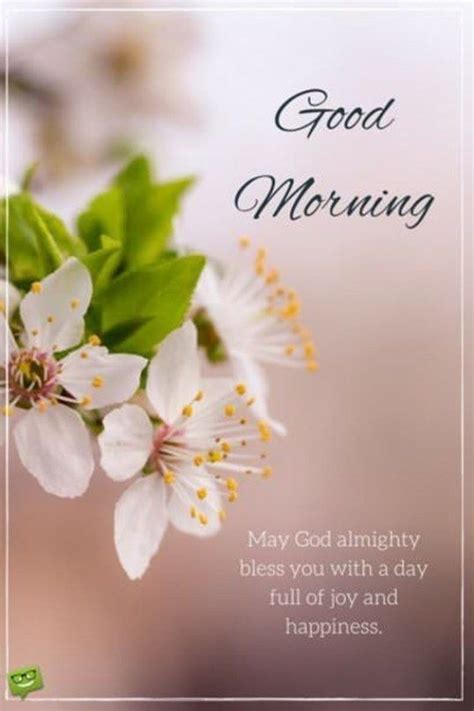 We did not find results for: Good Morning May God Almighty Bless You Pictures, Photos ...