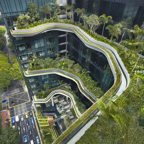 Biophilic Design What It Is And Why It Matters Green Architecture