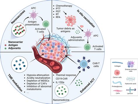 Nanomedicine Sheds New Light On Cancer Immunotherapy
