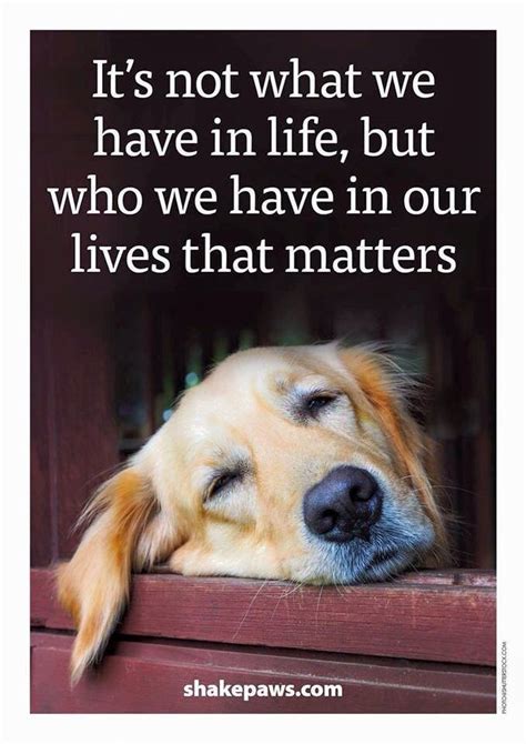 18 Inspirational Quotes For Dogs Richi Quote
