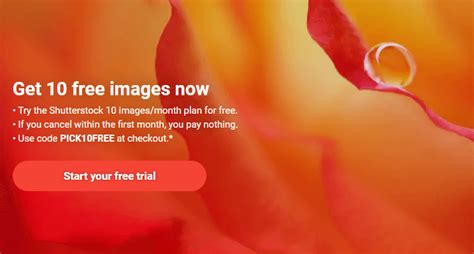 5 Ways To Download Shutterstock Images Without Watermark
