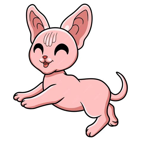 Premium Vector Cute Sphynx Cat Cartoon Posing