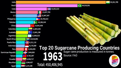 Top 20 Sugarcane Producing Countries Youtube