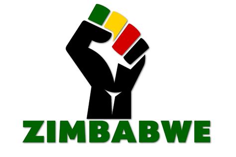 Gofundme Campaign Started To Help Jailed Activists In Zimbabwe ⋆ Pindula News