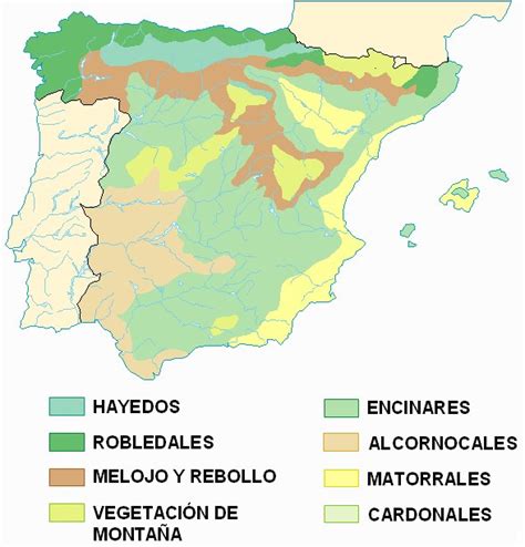 Opiniones De Vegetación De España