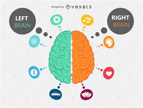 Brain Illustration With Icons Vector Download