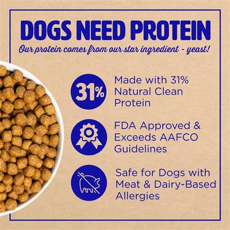 Before you transition your dog's diet to a completely new one, without meat, this review can help you make sure that vegan dog food is quality nourishment for your family's dog. Healthiest Dog Food Brands 2020 - 10 Best Healthy Dry Dog ...
