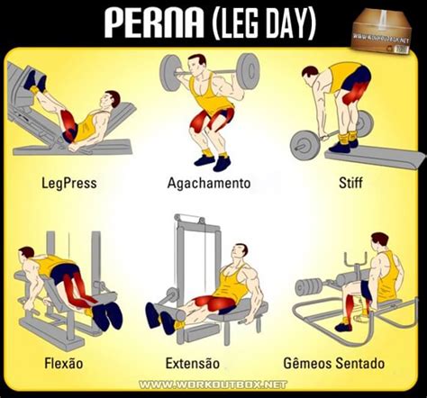 Perna Leg Day Workout Healthy Nutrition Tips Legs Butt Core