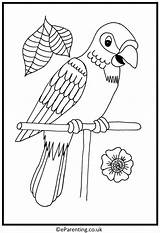Colouring Pirate Parrot Pages Colouringpages Eparenting sketch template