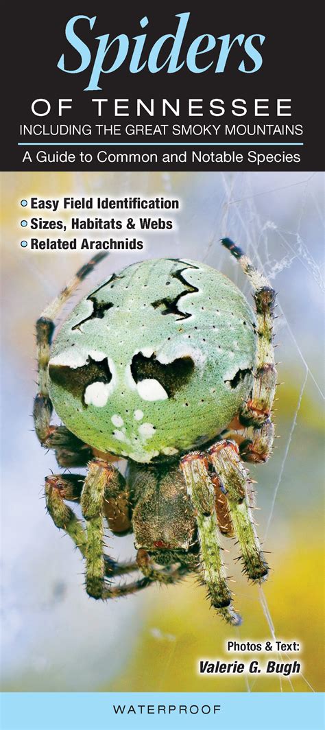 Spiders Of Tennessee Quick Reference Publishing