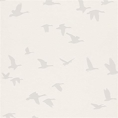 Beautiful Birds Themed Wallpapers In Various Designs Feature Wall Room