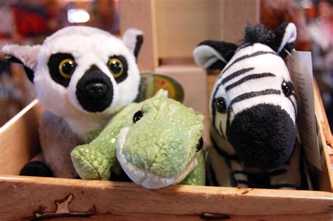 The atlanta zoo suffered neglect and by. Zoo Gift Shop - Virginia Zoo in Norfolk