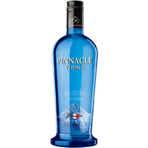 Top 15 Best Vodka Brands Your Guide To The Top Drinks