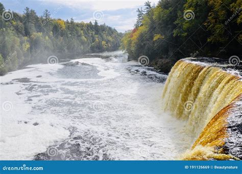 Tahquamenon Falls In The Michigan State Park Stock Image Image Of