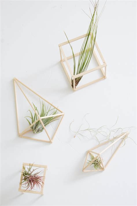 Diy Air Plant Holders — Cashmere And Plaid